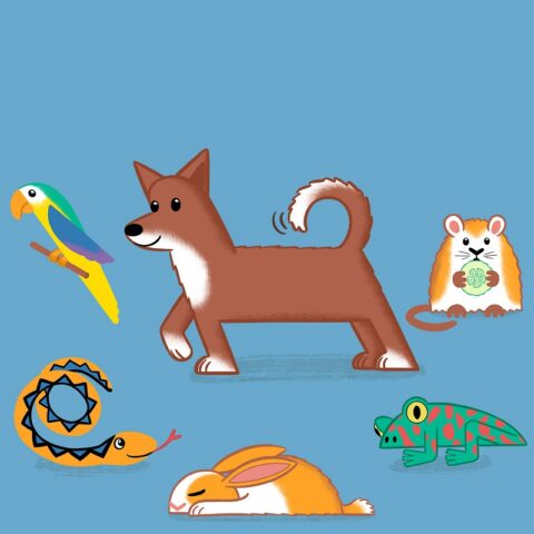 A fun, colourful illustration of a dog, parrot, hamster, frog, snake and a sleeping bunny