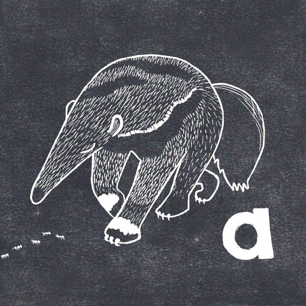 Black and white lino printed anteater image for a children's ABC book