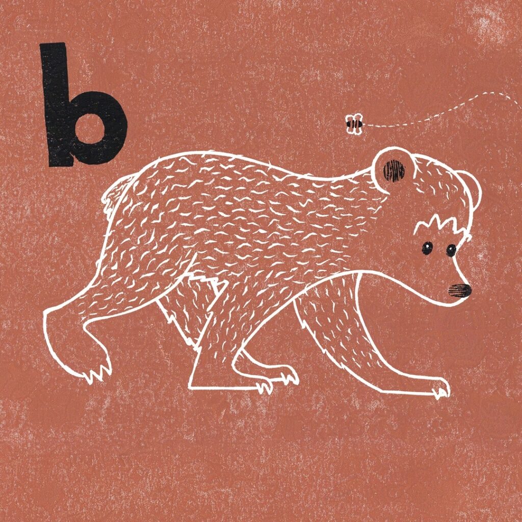 Brown and white lino printed bear image for a children's ABC book