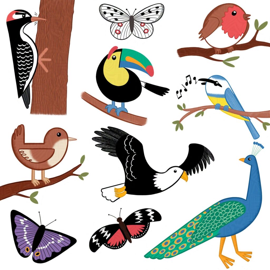 A page of cute bird and butterfly illustrations including a robin, a bald eagle, a peacock, an Apollo butterfly and more