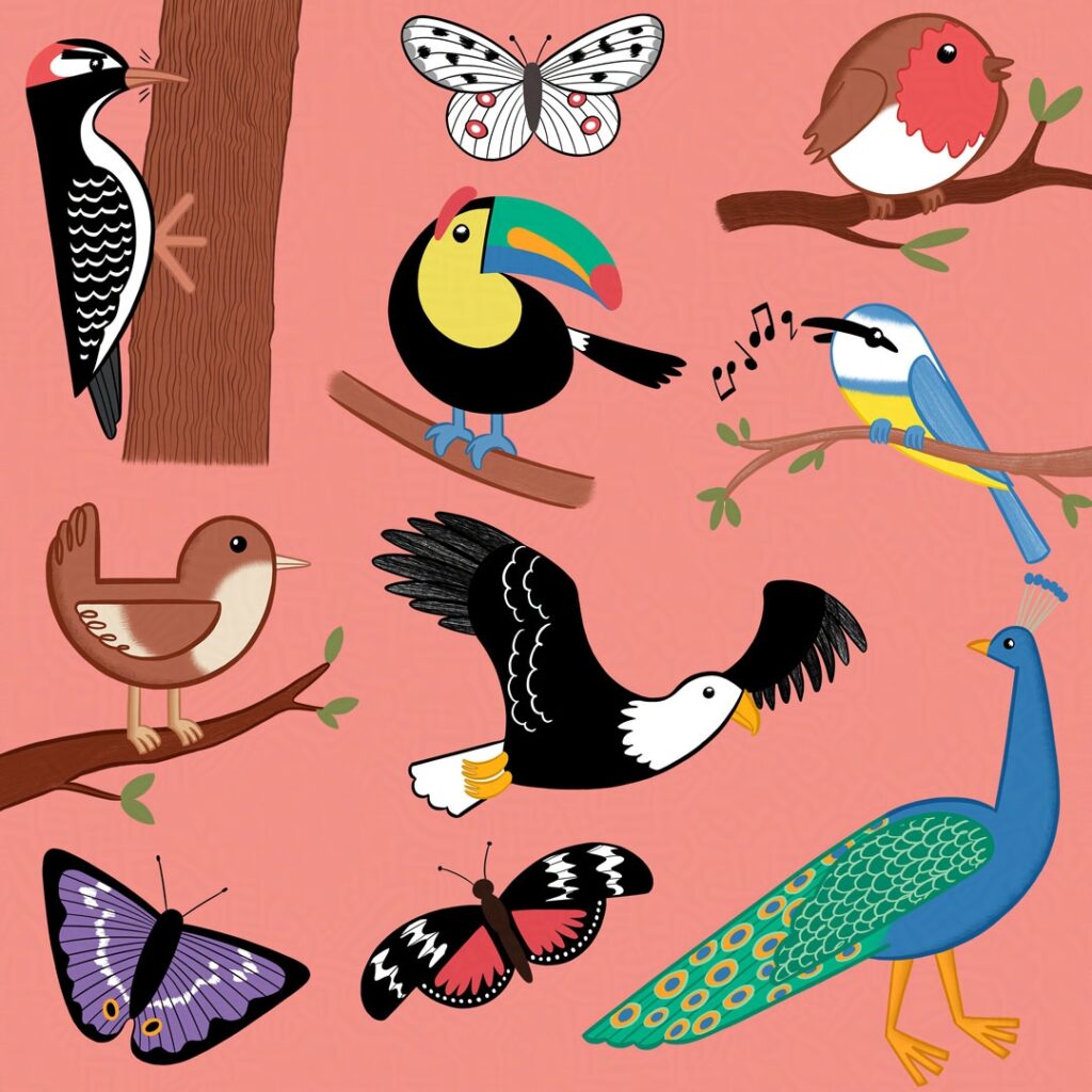 A page of cute bird and butterfly illustrations including a robin, a bald eagle, a peacock, an Apollo butterfly and more