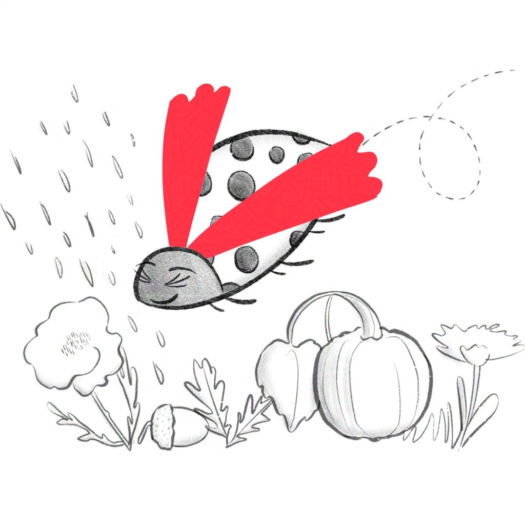 An illustration of superhero ladybird swooping over a flower and a pumpkin. The drawing was created with Procreate in black pencil and the wings are like a superhero cape in bright red