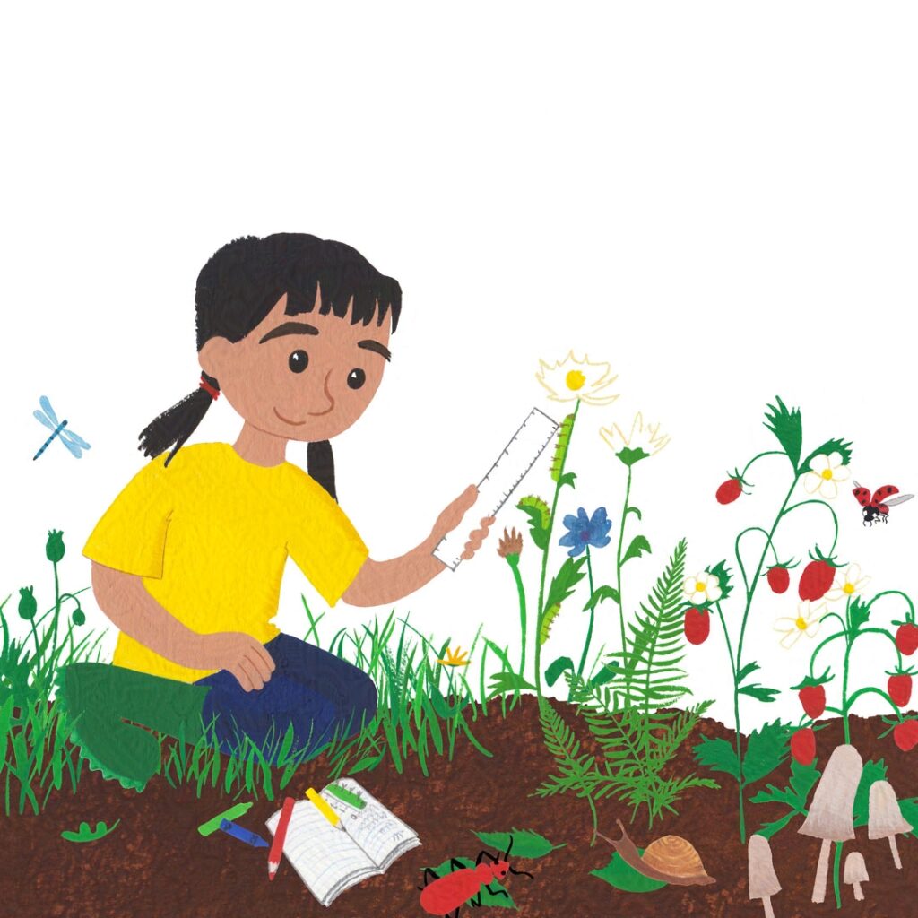 An illustration of a little girl kneeling with a magnifying glass to measure caterpillars climbing a plant. She has a note book and pencils with her and is surrounded by a wild garden. The artwork was created using gouache paint.