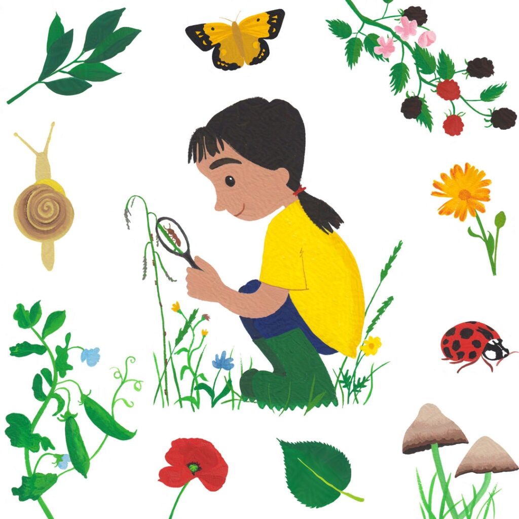 An illustration of a little girl squatting down with a magnifying glass to look at ants climbing a long blade of grass. There are other images of nature around her. The artwork was created using gouache paint.